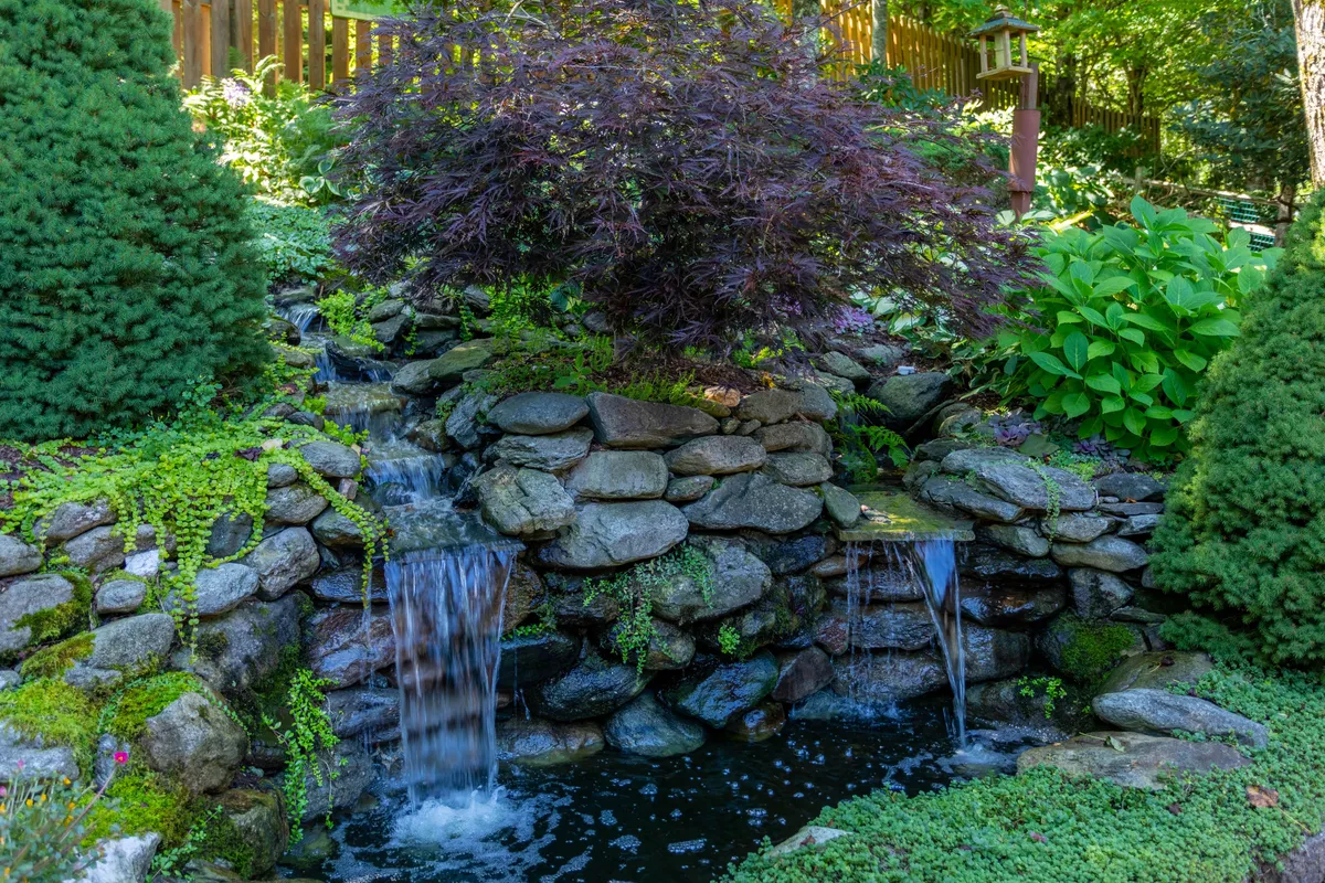 A peaceful outdoor scene with a manmade waterfall surrounded by lush greenery, rock formations, and a Japanese maple. The tranquil water feature invites meditation and leisure, while the landscaping creates a sense of a private oasis.