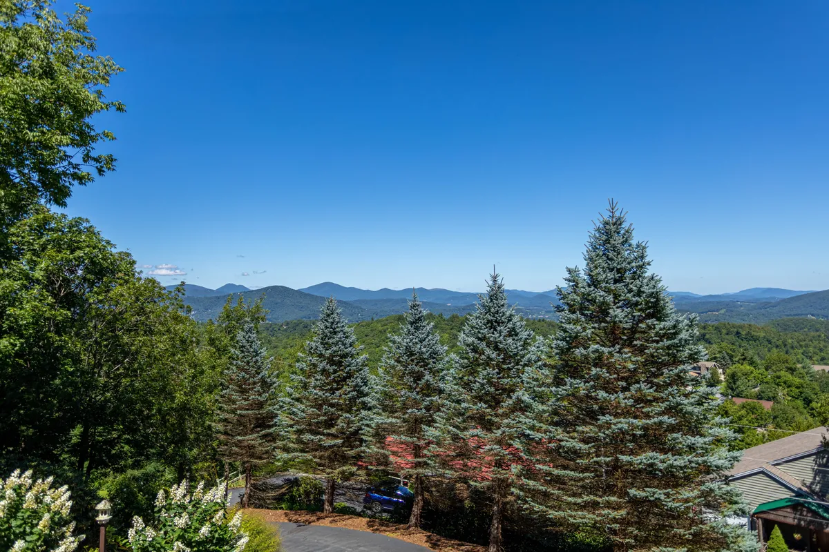 A panoramic view of a mountain range framed by evergreen trees and a clear blue sky, capturing the natural beauty and adventure that the High Country offers just outside the lodge.